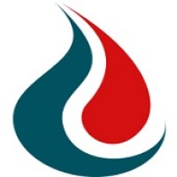 NISCHENTE INDIA PVT. LTD. Logo
