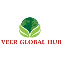 Veer Global Hub Logo