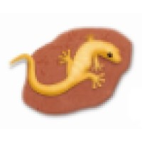 Archae-aus Pty Ltd Logo