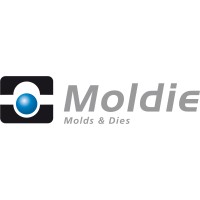 Moldie Industrial Limited Logo