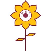 Mahatma Education Society Logo