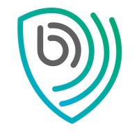 Bulwarkers Websecurity Pvt. Ltd. Logo