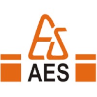 Alpha Engineering & Systems Group Logo