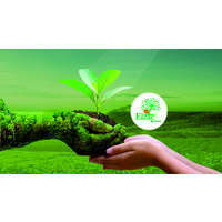 Elzac Herbal India Logo