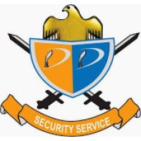 DD SECURITY SERVICE PVT. LTD. Logo