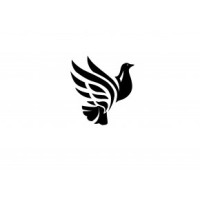Dove Ventures Logo