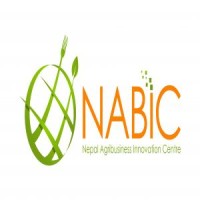 NABIC- Nepal Agribusiness Innovation Centre Logo