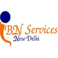 IBN Services Logo