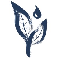 BornTea Logo