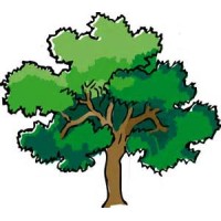 Dua Enterprises Logo