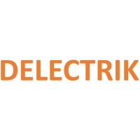 Delectrik Systems Private Limited Logo
