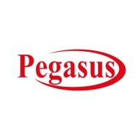 Pegasus Technologies Logo