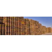 Pallet Terminal Ltd Logo