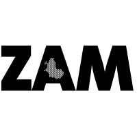 ZAM Magazine Logo