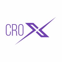 Crox Consulting Inc Logo
