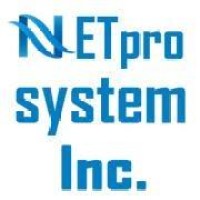 Netpro System Inc Logo