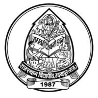 Rajasthan Vidyapeeth University Logo