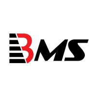 BMS Auditing Logo