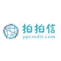 拍拍信数据服务（上海）有限公司 Logo
