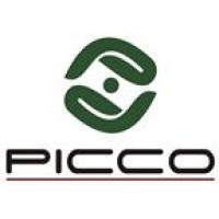 PICCO Bent Consultancy Limited Logo