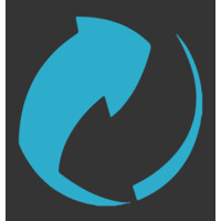 Degree Synergy International Logo
