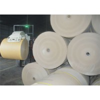 Tanveer Paper Mills Ltd. (A Unit of MGI) Logo