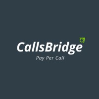 CallsBridge Logo