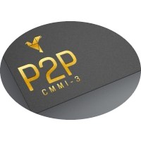 P2P System Logo