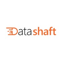 DataShaft Logo