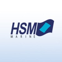 HSM Group of Companies Logo