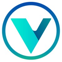 Visuer Interactive Logo