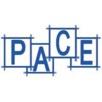 Personality Advancement Circle Of Engineers Logo