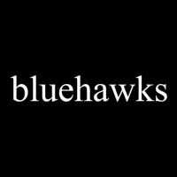 bluehawks Logo