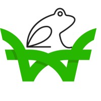 Webfrog IT Services (SEO Agency in Delhi) Logo