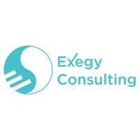 Exegy Consulting Logo