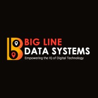 BLDS India- Big Line Data Systems Logo