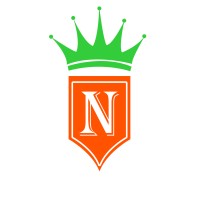 N CONSULTANCY Logo