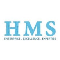 Human Micro Systems Private Limited Logo