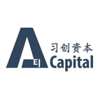 AEI Capital Group Logo