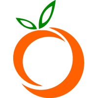 Orange Business Development Ltd. Logo