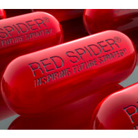Red Spider Asia Logo
