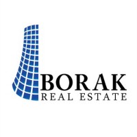 BORAK REAL ESTATE LTD. Logo