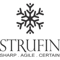 StruFin Logo