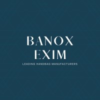 Banox Exim Private Limited Logo