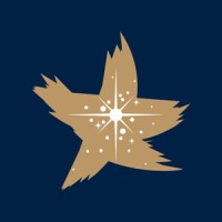 Meg-Star International 鉅星國際 Logo