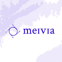 Meivia Global Services LLP Logo