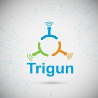 Trigun Technology Pvt. Ltd. Logo