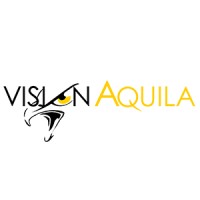 Vision Aquila Productions Logo