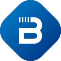BlueVisorSystems Logo