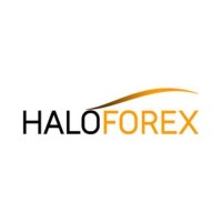 HaloForex Logo